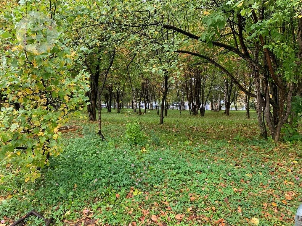 В Удмуртии «бабье лето» длилось 14 дней. Об этом рассказала ведущий синоптик региональн...