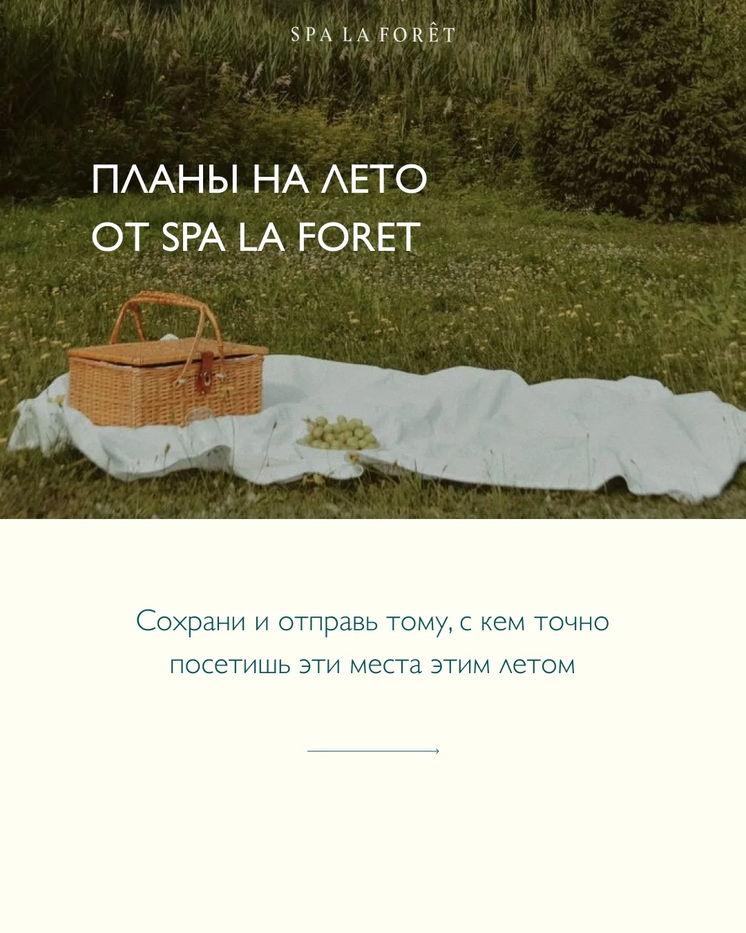 Собрали идеи для идеального лета🌿