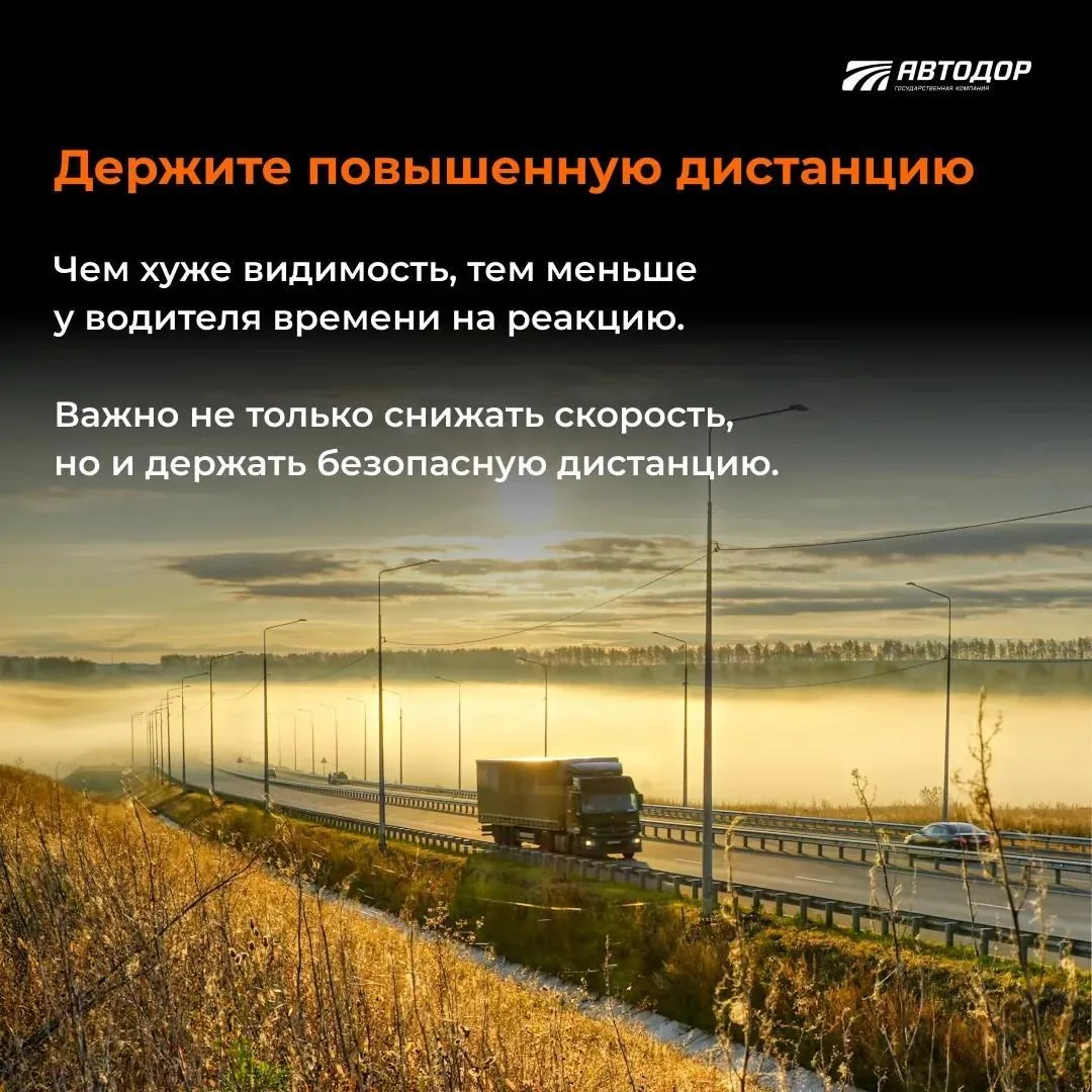 Туман выглядит красиво на фотографиях.