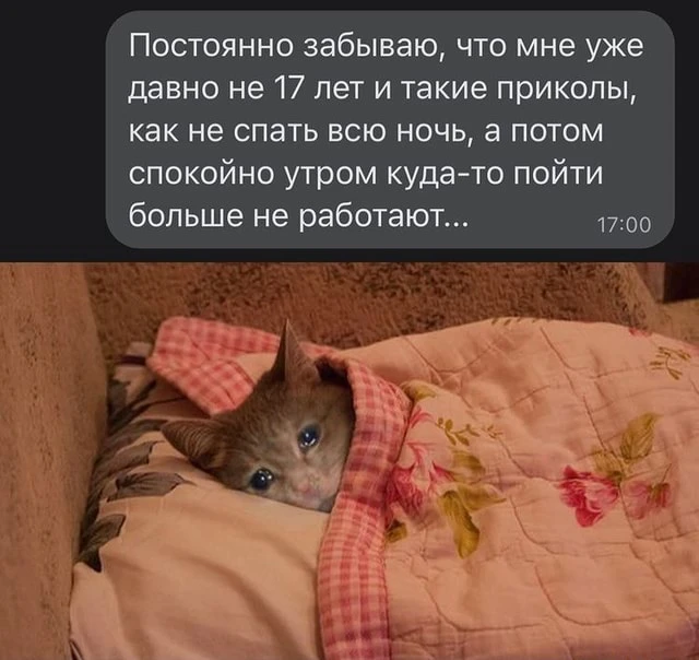 Изображение 1 к публикации «Терапевт твоего сердца»