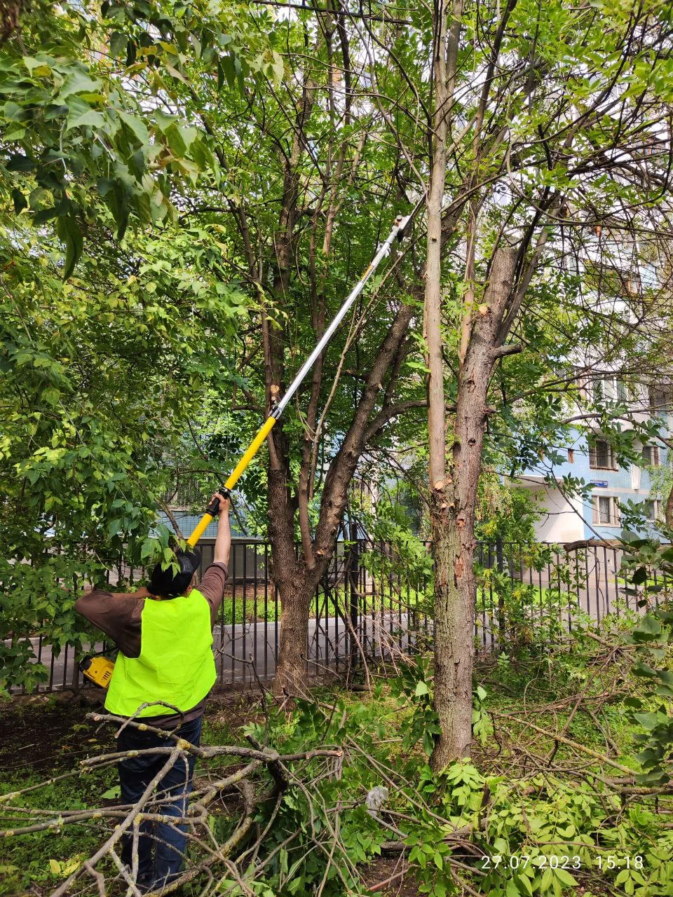 Работу работаем... 🌳🪚🪓