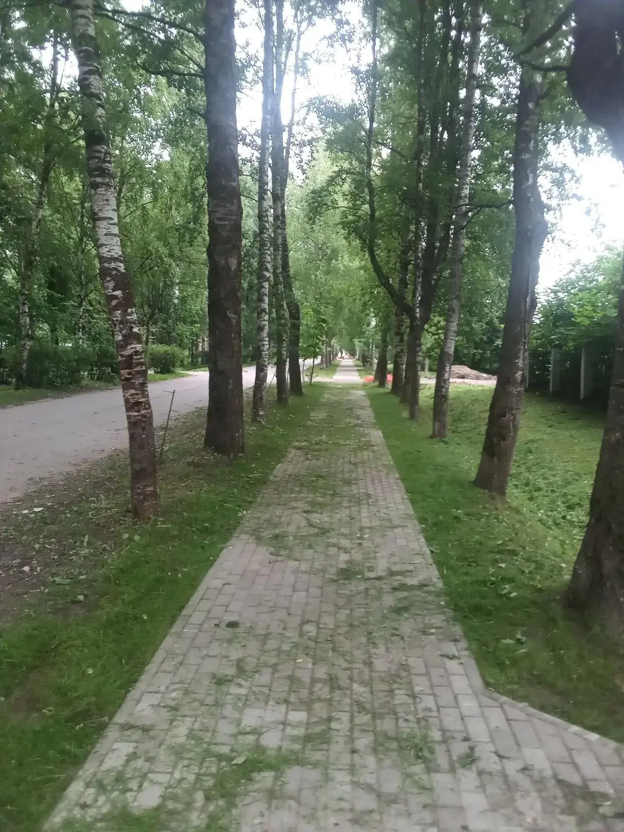 На территории Назии продолжаются плановые работы по скашиванию травы на общественных пространствах. 