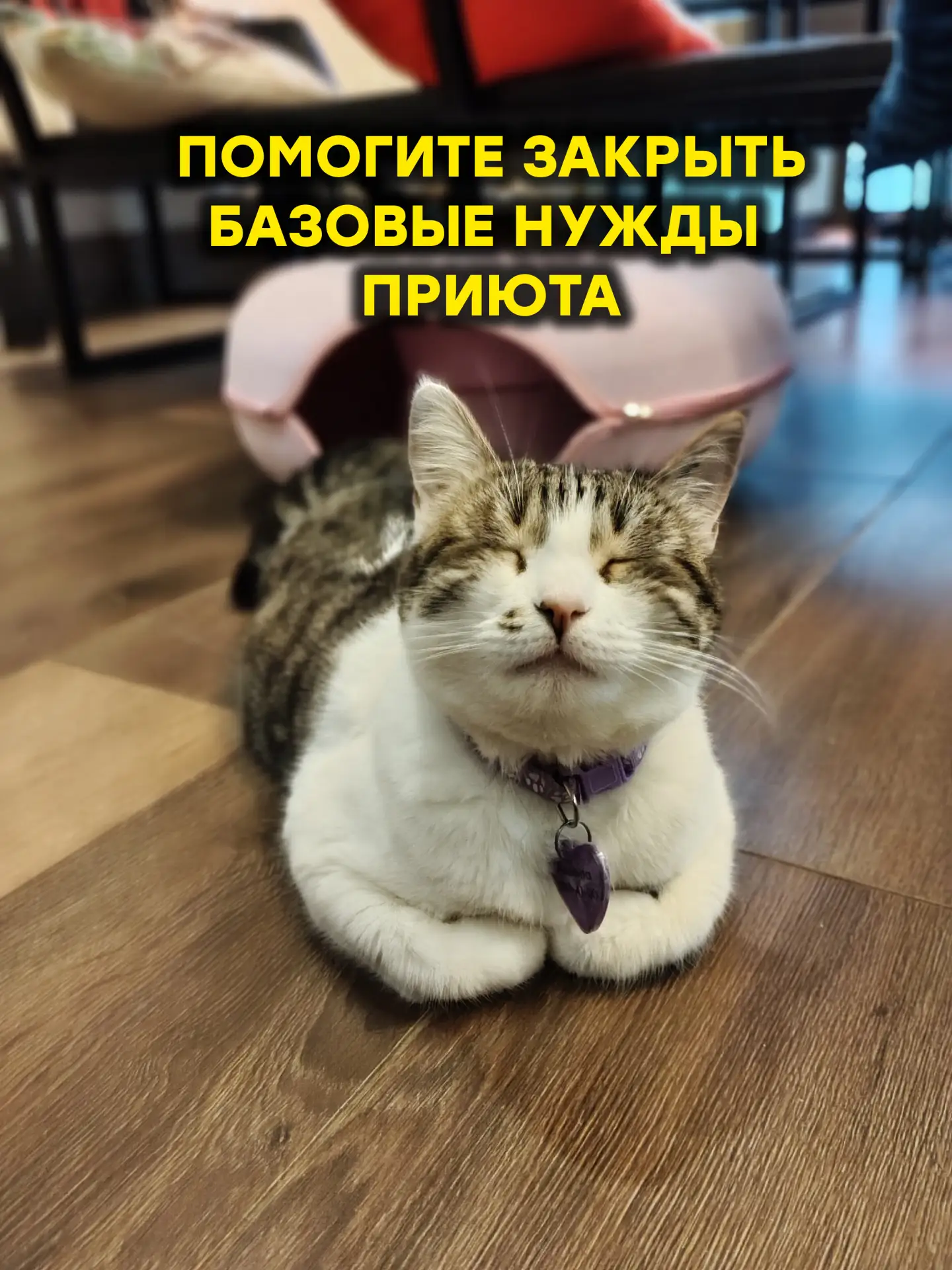 Помогите нам пожалуйста закрыть базовые расходы приюта! 

Без оплаты этой базы у нас не будет воды, 