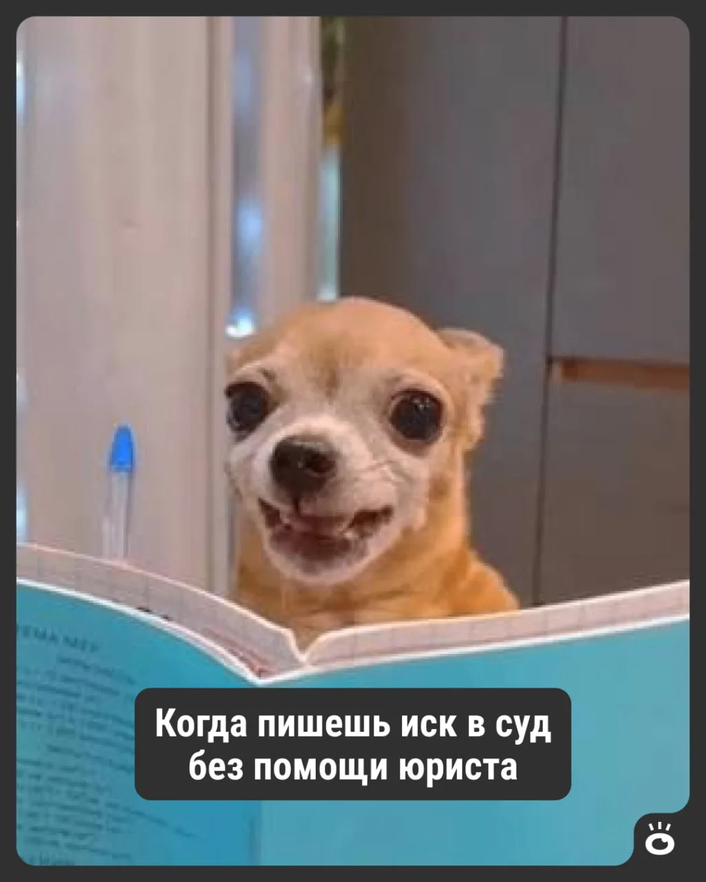 Разбираетесь в законах? Тогда эти вакансии для вас!

📋 Юрист
Опыт: более 6 лет
Зарплата: от 160 000
