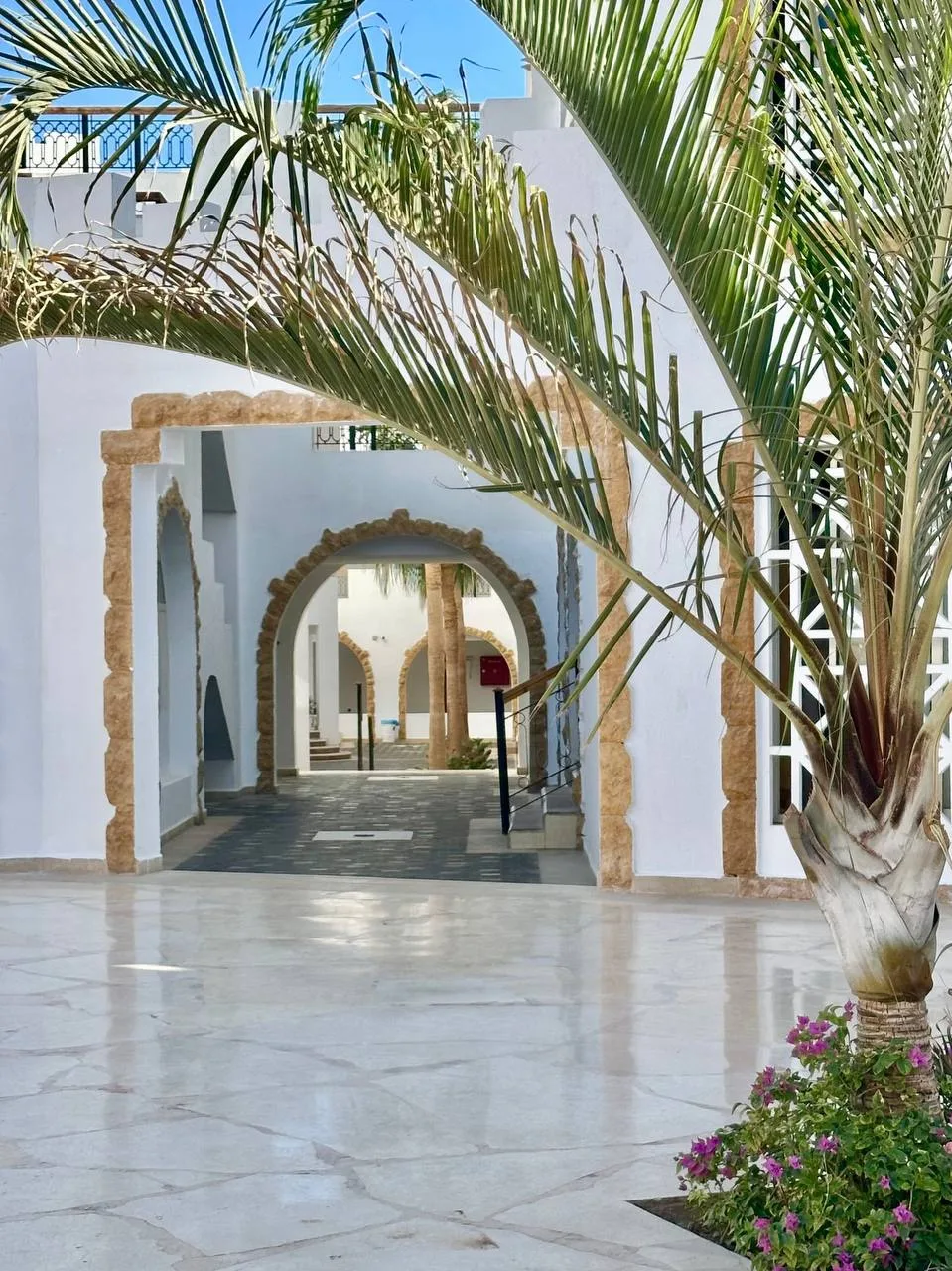 🌙Отели сети SUNRISE Resorts & Cruises в Хургаде признаны одними из лучших на курорте б...