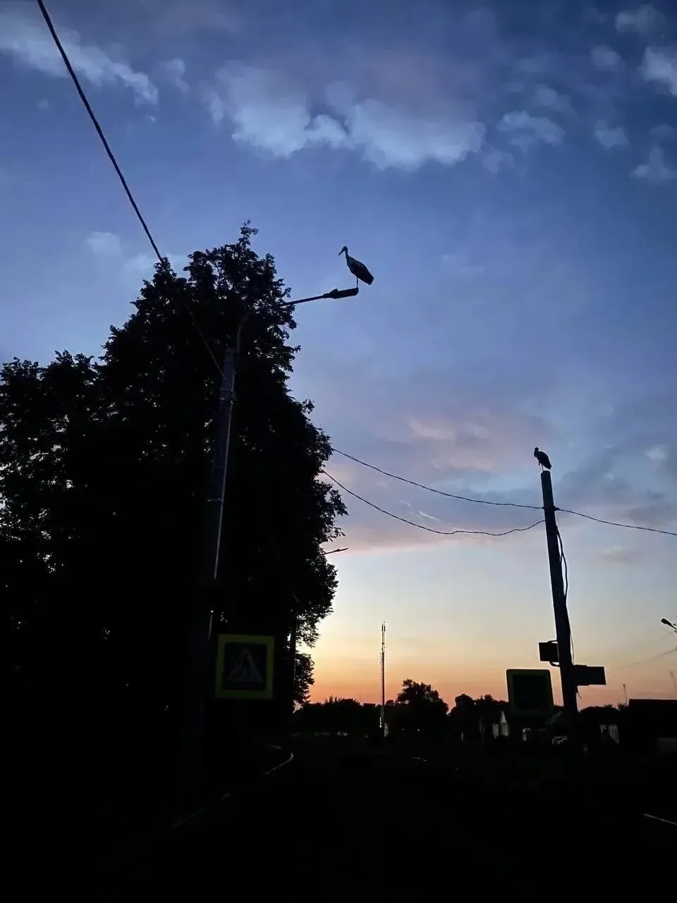 Спокойной ночи. 🌙