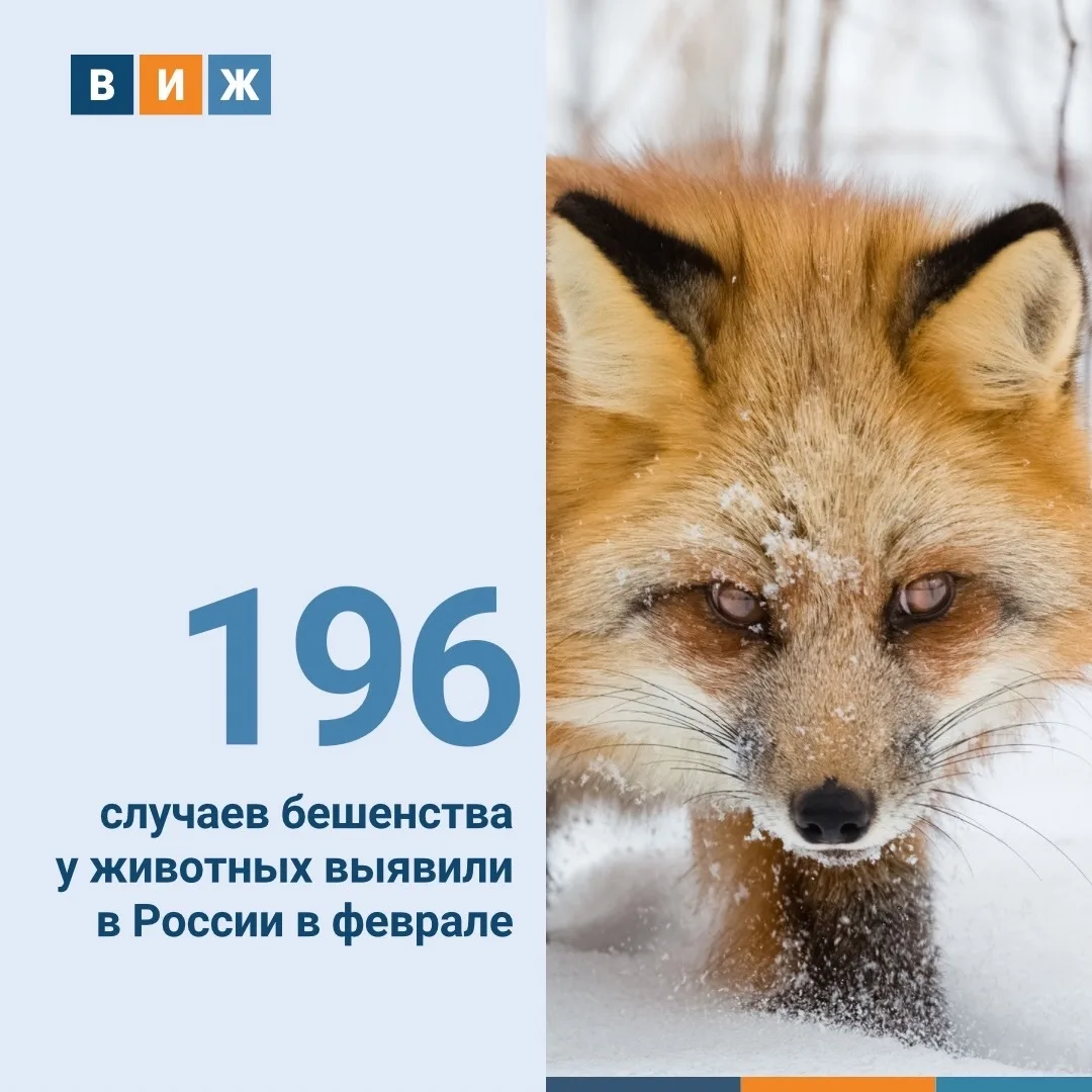 ❗️Такой статистикой с «ВиЖ» поделились в Федеральном центре охраны здоровья животных (Ф...
