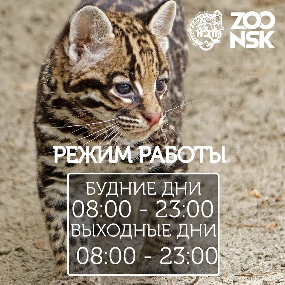 Отличная новость! Зоопарк работает в летнем режиме! ☀️

📆 Ежедневно с 8:00 до 23:00!

❗️Кассы прекр