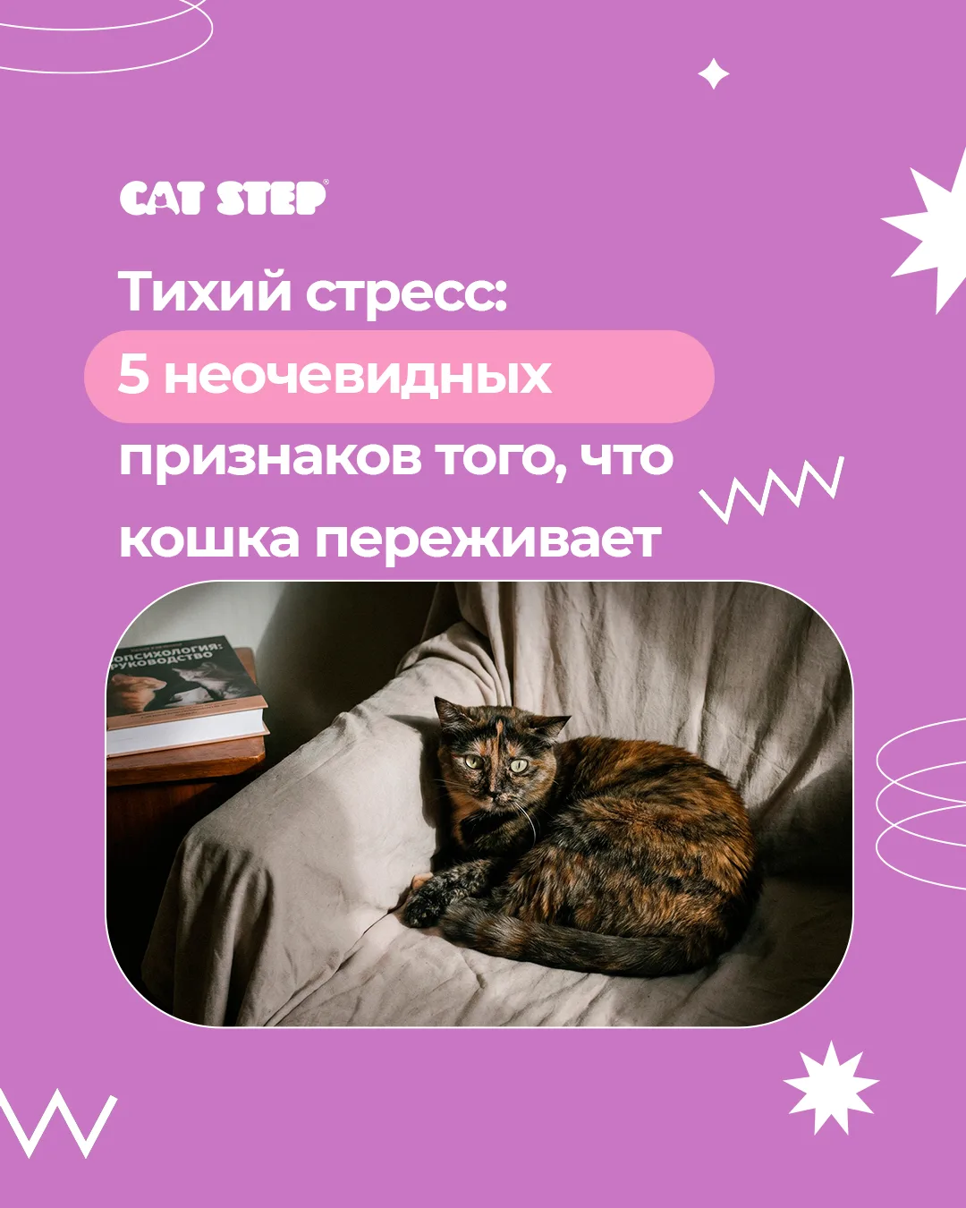 В отличие от собак, которые открыто демонстрируют свои эмоции, кошки — мастера маскировки. В дикой п