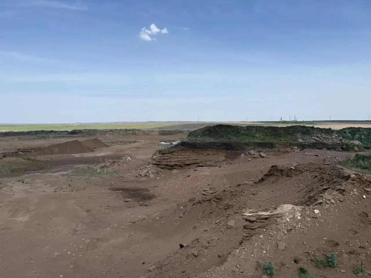 В рамках полевого сезона 2026 года сотрудниками ГБУ «НПО Геоцентр РТ» проведено выездно...