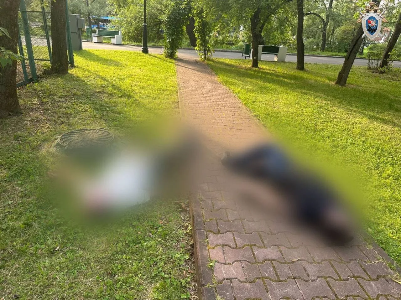 В Москве вынесен приговор организатору приготовления к убийству двух мужчин 
 
Собранные следственны