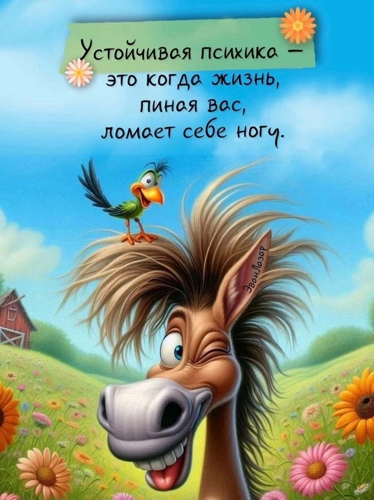 ОТКРЫТКИ