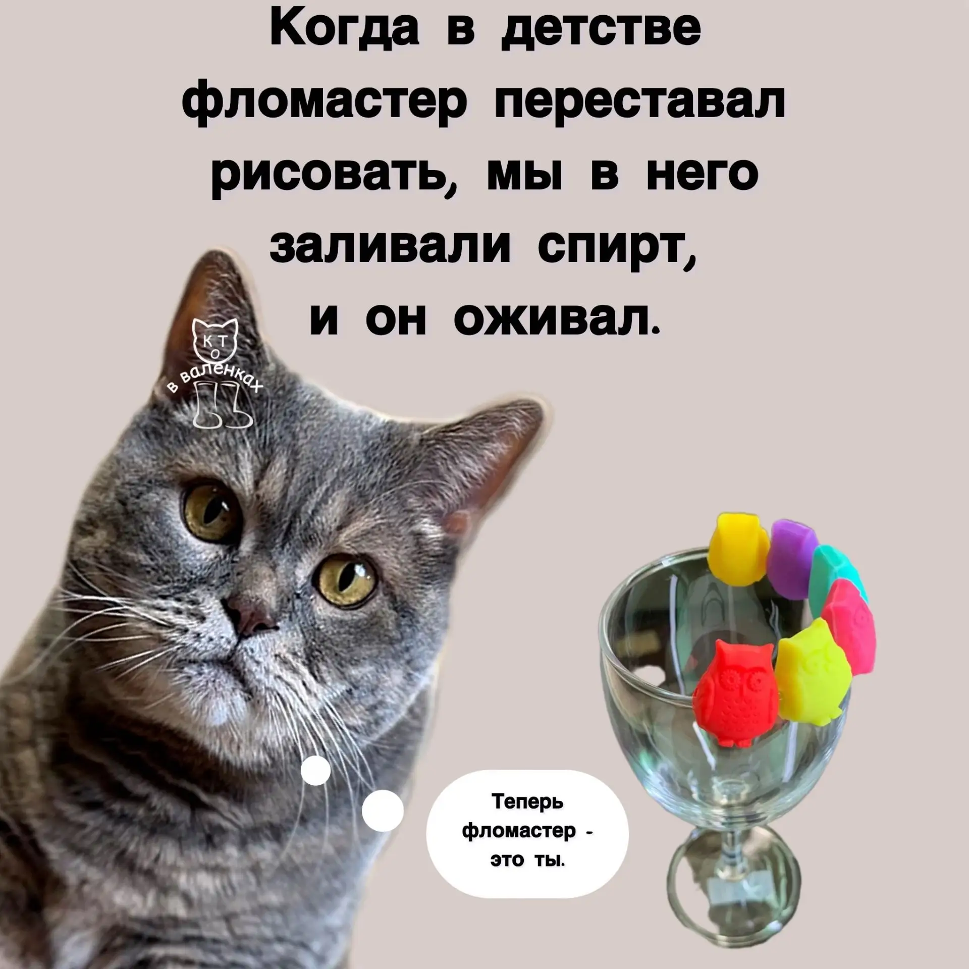 🤣🤣🤣
