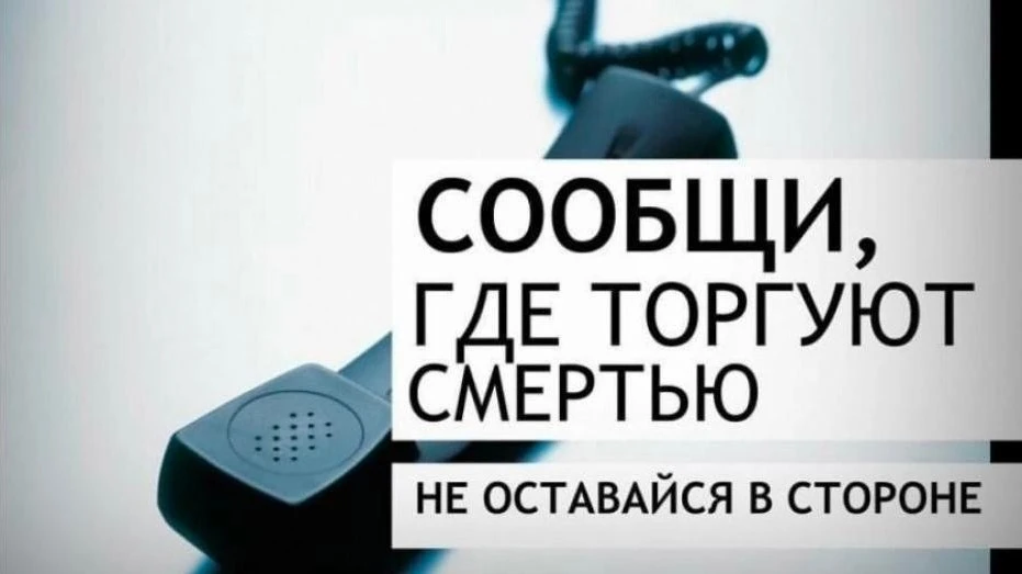 В период с 21 сентября по 2 октября 2026 года на территории Вологодской области пройдет...