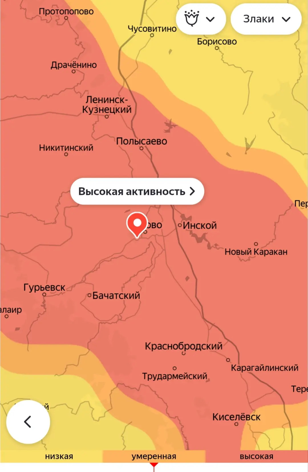 Внимание, аллергики! 

Сейчас на территории Белова и района отмечается высокая активность злаковых т