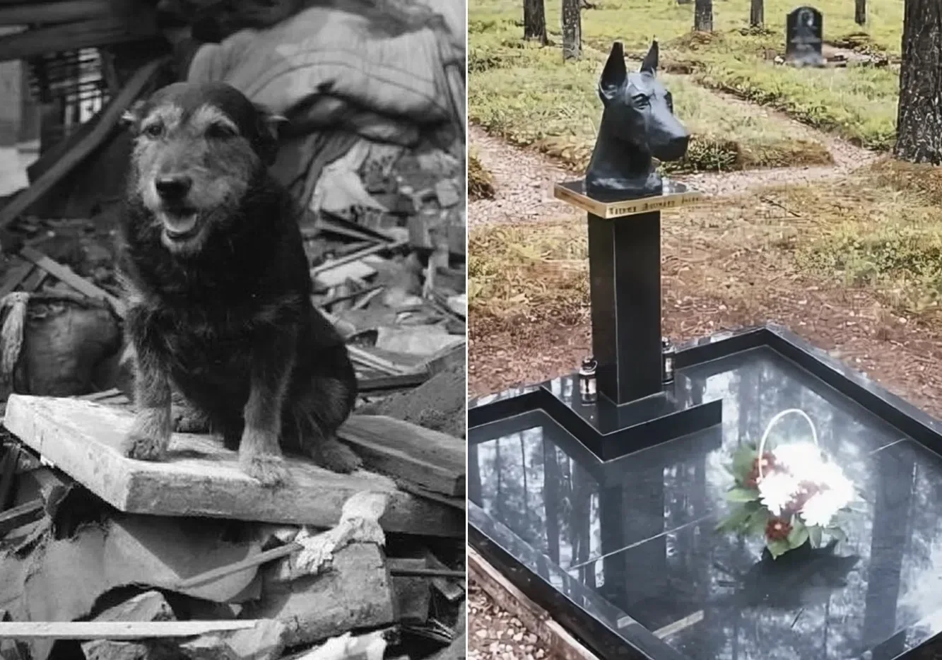 Жужа 

На Спитакском кладбище, среди множества памятников с одной и той же скорбной датой, есть скро