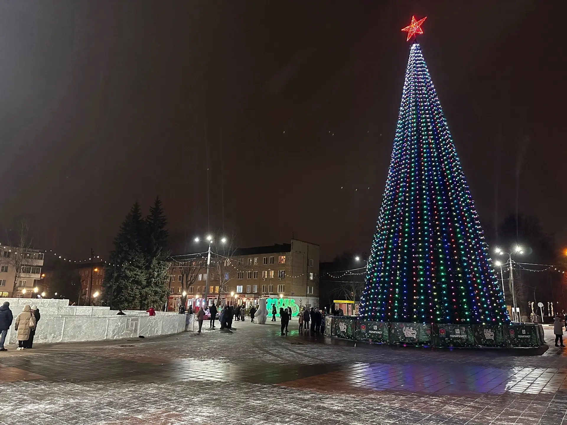 📌В Новомосковске может появиться новая новогодняя ель