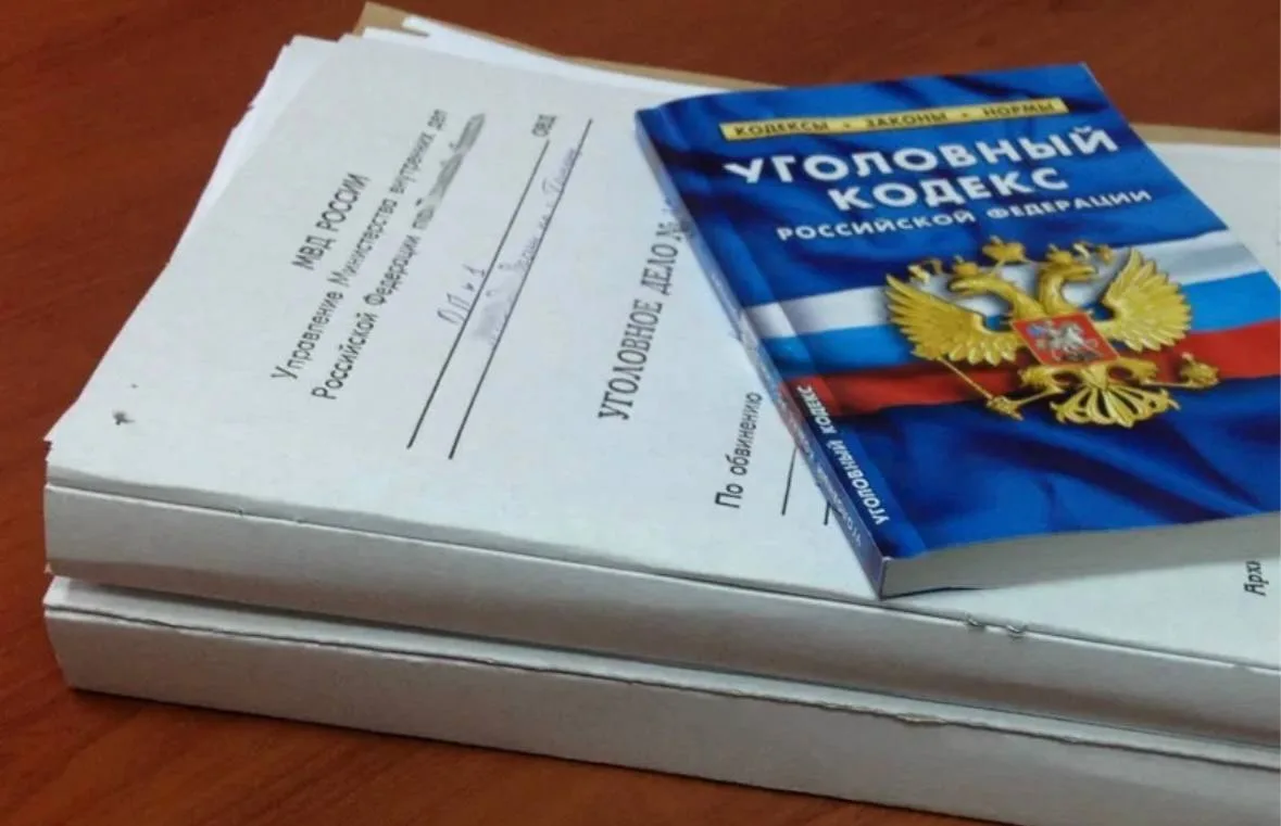 Жительница Ставрополья заявила в полицию об избиении, но оказалось, что травму она нане...