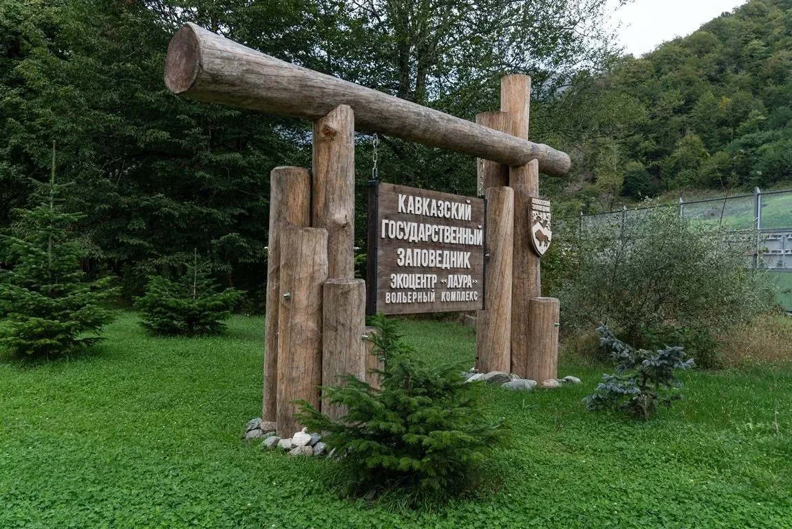 ⛰️Кавказский заповедник открыл большую часть летних туристических маршрутов

🔷️Первые туристы уже о