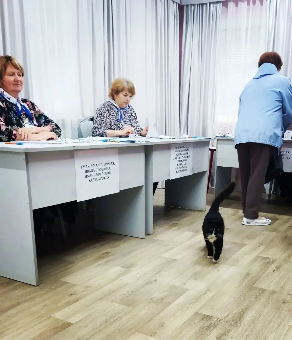 Ну что – первый день выборов в депутаты Госдумы в самом разгаре 🇷🇺