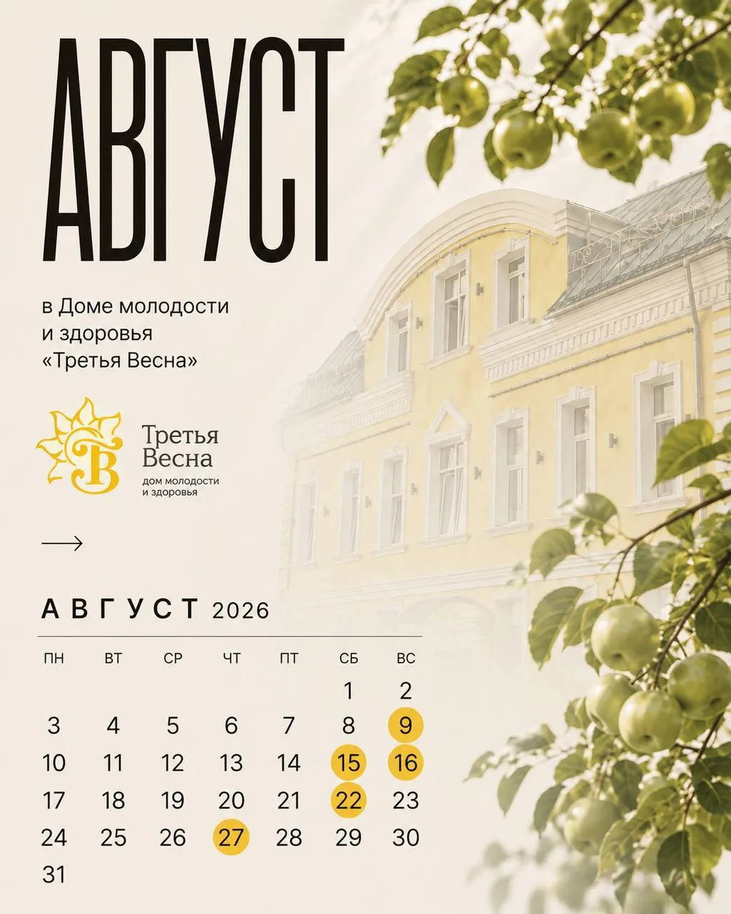 ☀️Август в Доме молодости и здоровья «Третья Весна»