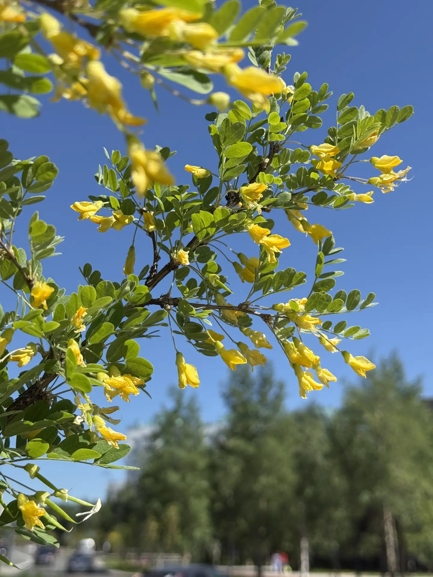🥰 Сотни оттенков летнего Ноябрьска 💚💛🩷

👉🏻 Подписаться в MAX