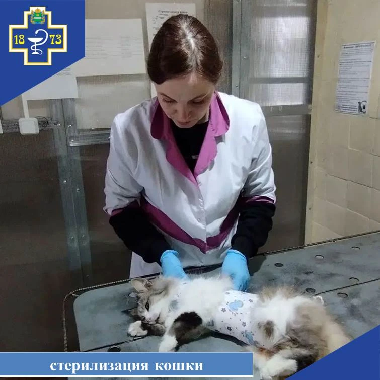 ✅«Наша работа».