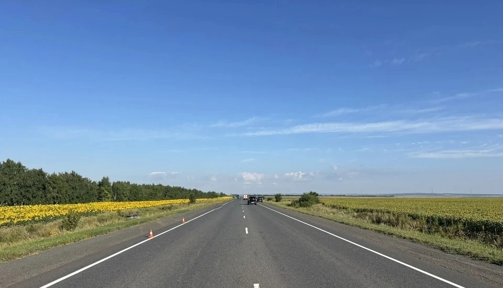 В Сорочинском муниципальном округе в результате ДТП госпитализированы водитель и ребенок-пассажир 
 