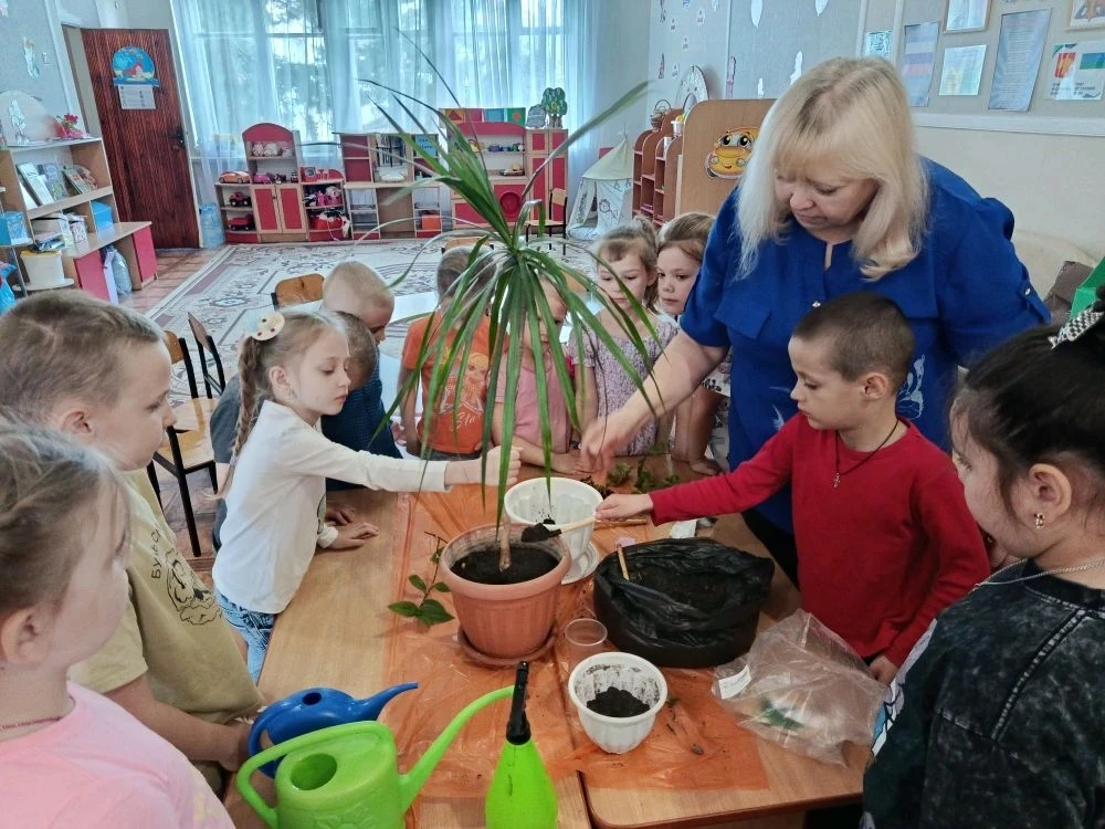 🪴☘️🌱Работа в уголке природы в группе "Русалочка": пересадка комнатных растений и уход...