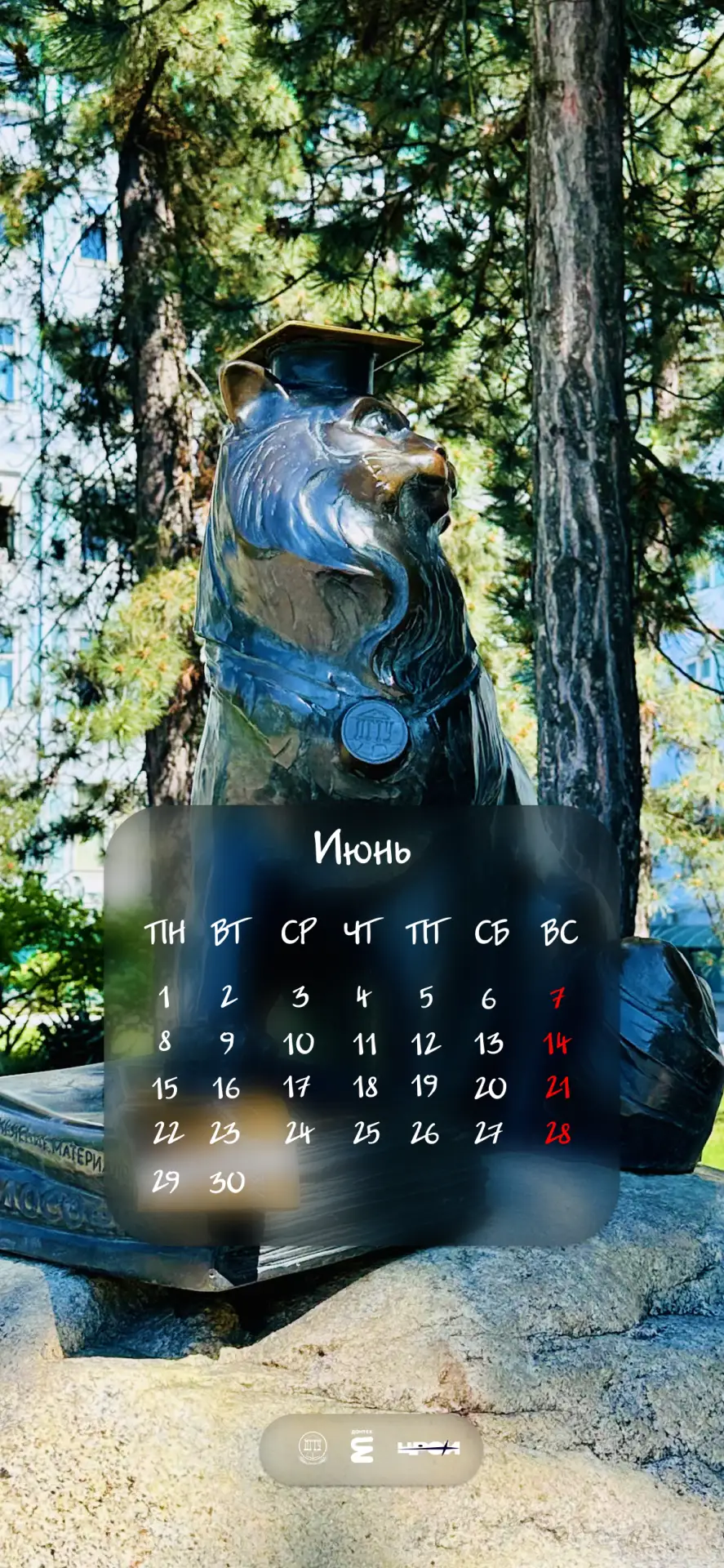 ☀️ Первые дни лета уже здесь!