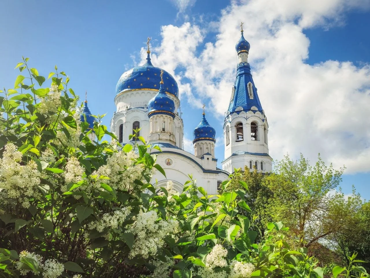 Гатчина.