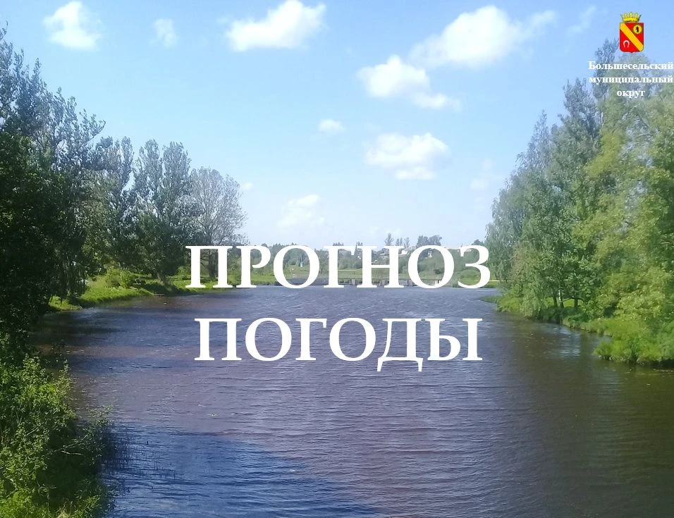 Прогноз погоды по Большесельскому округу на 28 июля 🌤️⁣