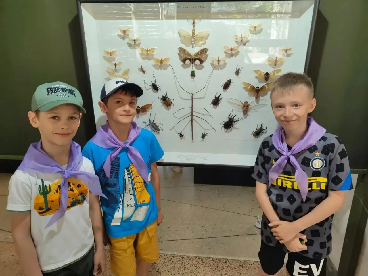 Цветник, насекомые и пушистые друзья 🦋🐹