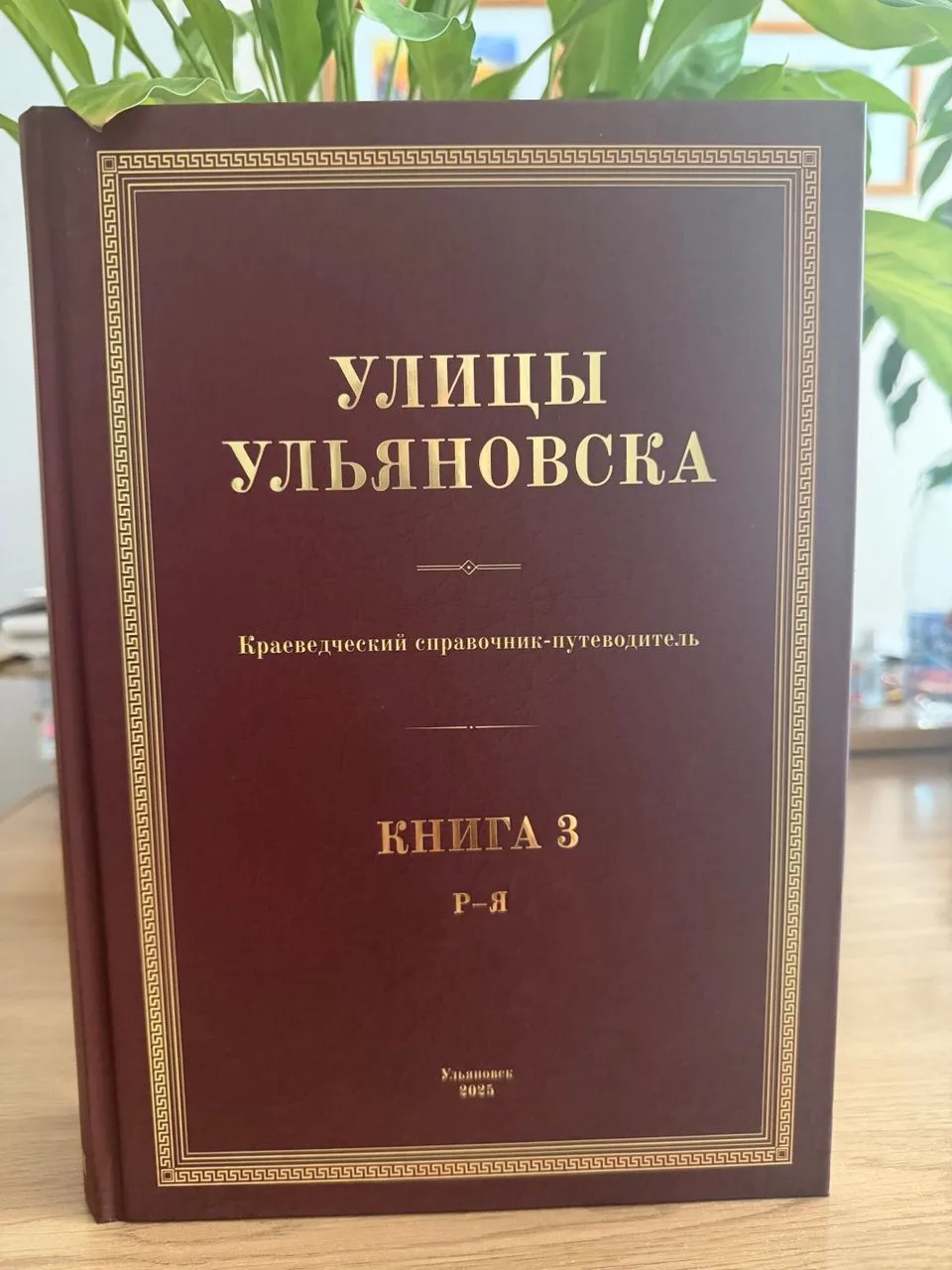 Пополнение архивной библиотеки

В библиотеку Ульяновского городского архива поступил краеведческий с