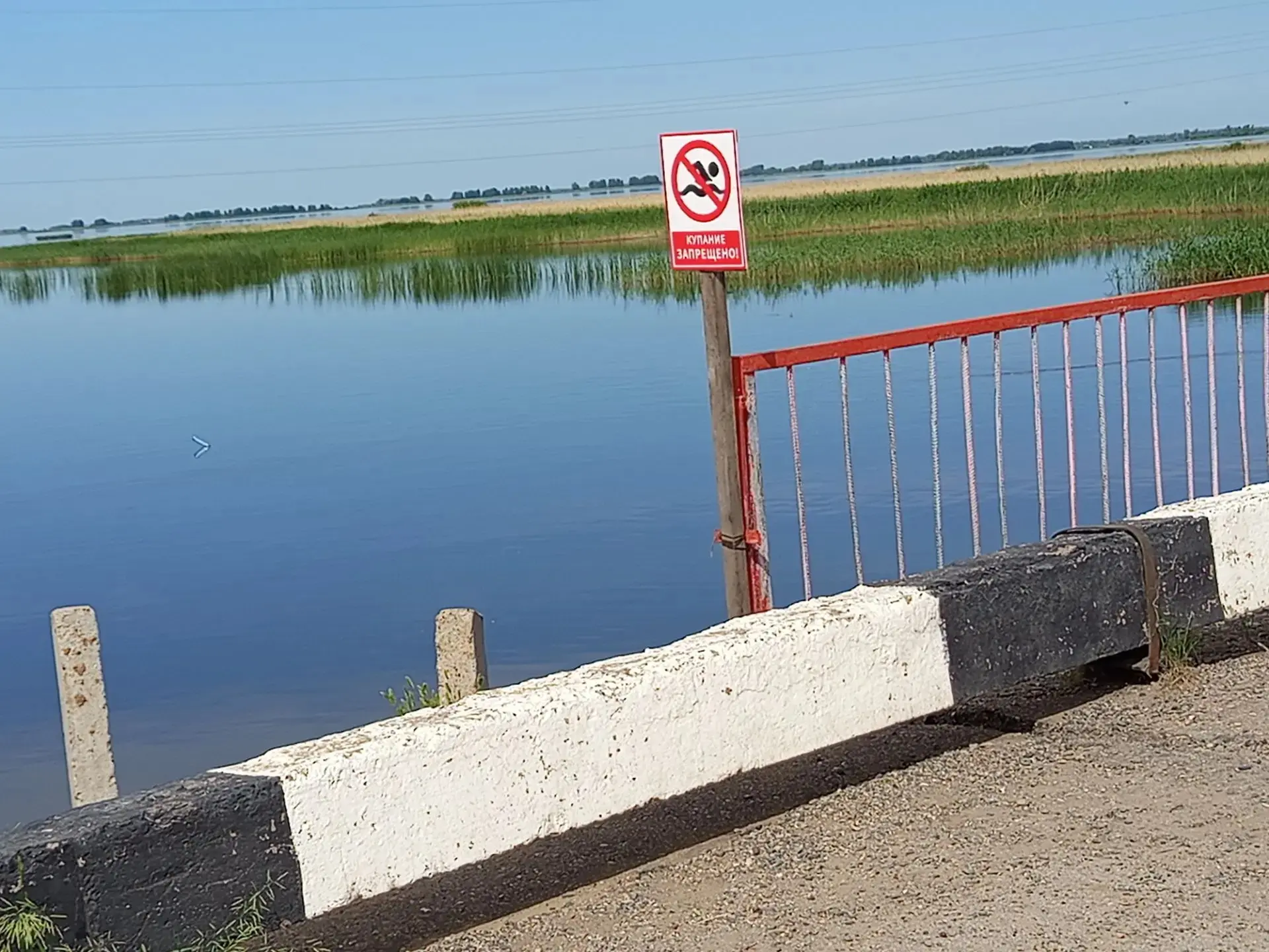 Родительский патруль на воде работает по графику. Лето. Жара. Дети с удовольствием купа...