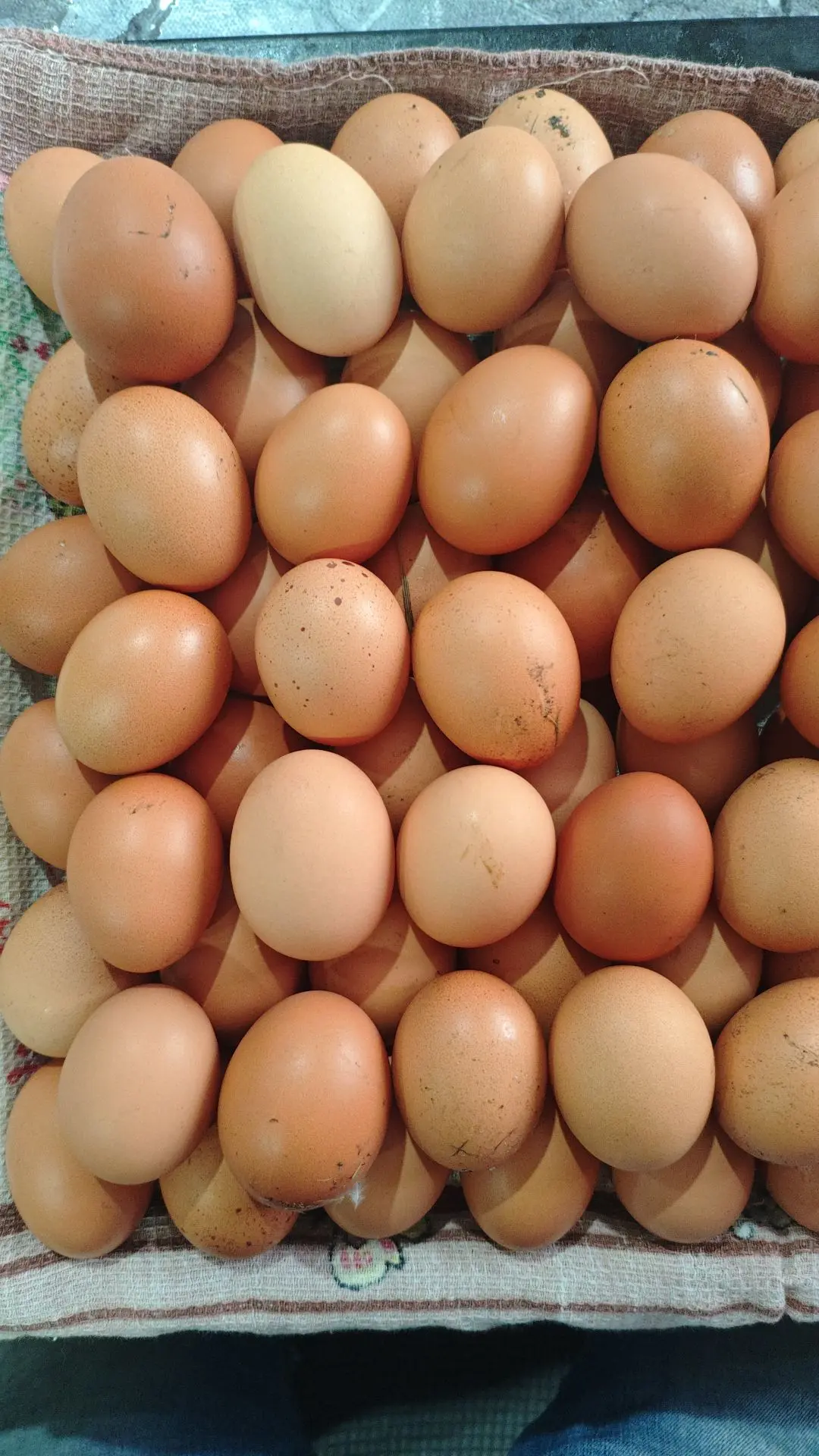 Продам домашние яйца. 100р/10шт. Самовывоз. +793736323222