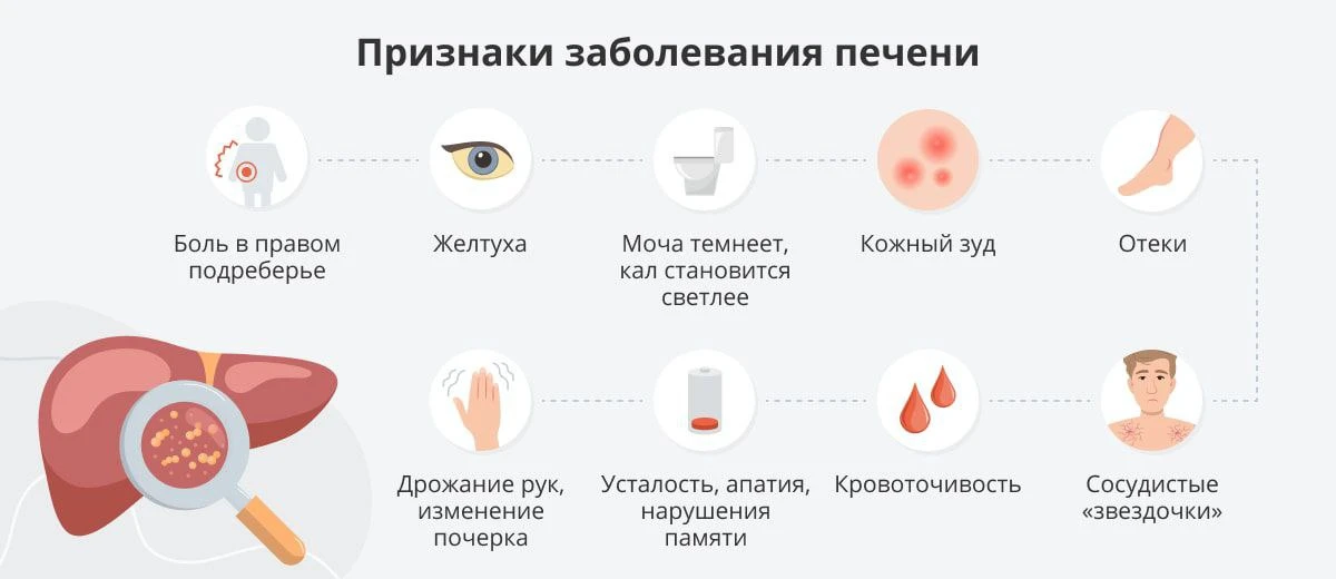 Заболевания печени на ранних стадиях часто протекают бессимптомно, что затрудняет своевременное их в