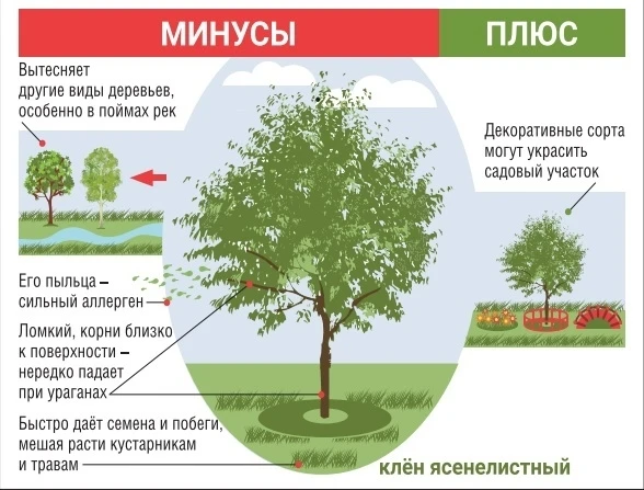 С 1 марта 2026 года в России, в том числе в Республике Башкортостан, за наличие америка...