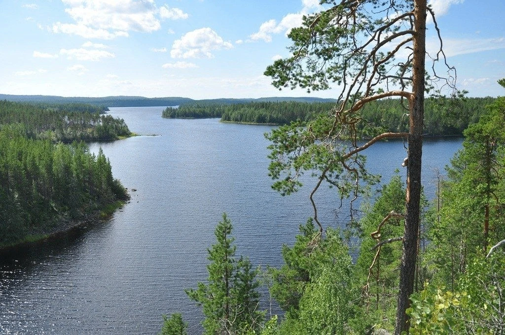 Верхнее Пулонгское озеро 🌊 🌊 🌊 🌊 🌊Малиновараккское сельское поселение 🏘