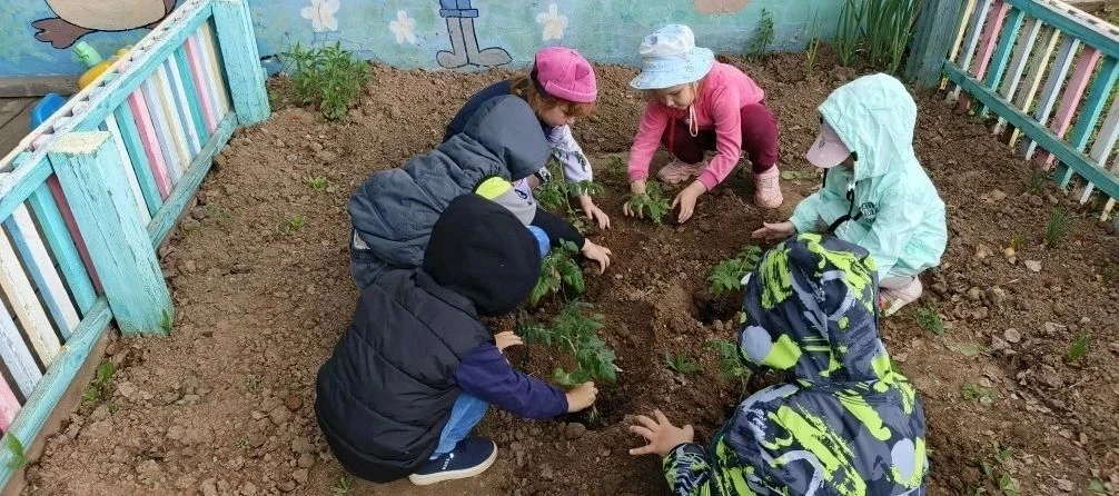 💥С наступлением теплых дней, воспитанники детского сада приступили к посадке огорода н...