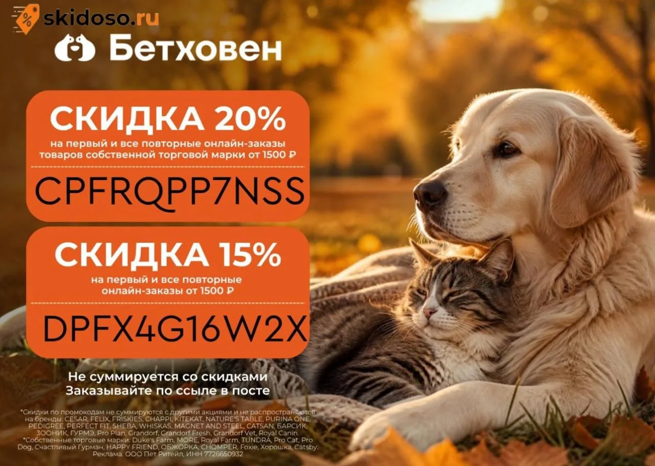 🔥Промокоды в Бетховен