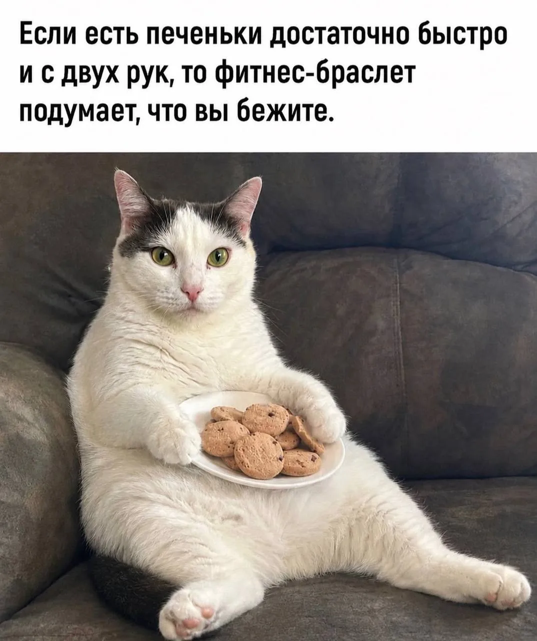Закрыла норму по шагам не вставая с дивана👌