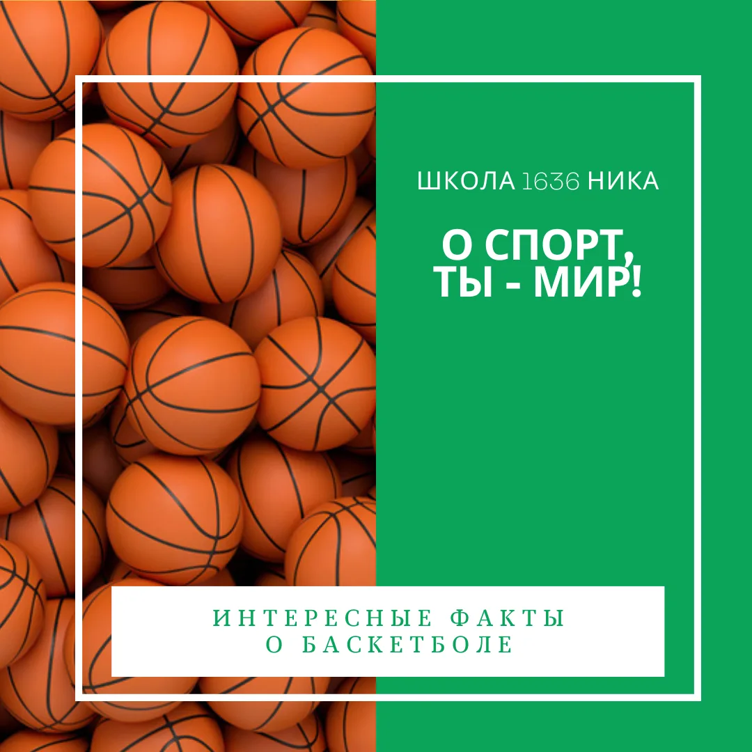 О спорт, ты — мир!🏀

Мы продолжаем рассказывать о популярных видах спорта. На этот раз поговорим о 