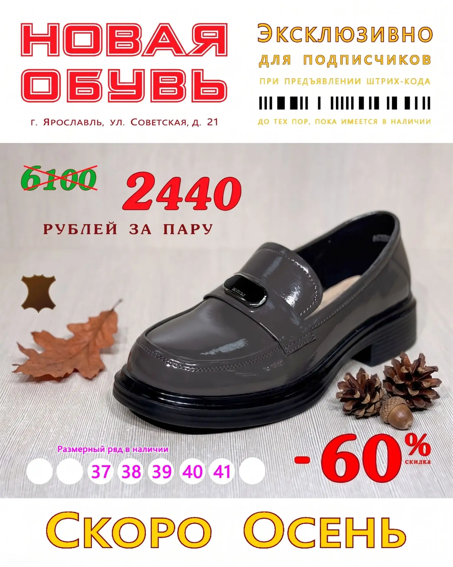 Дорогие подписчики ❗️