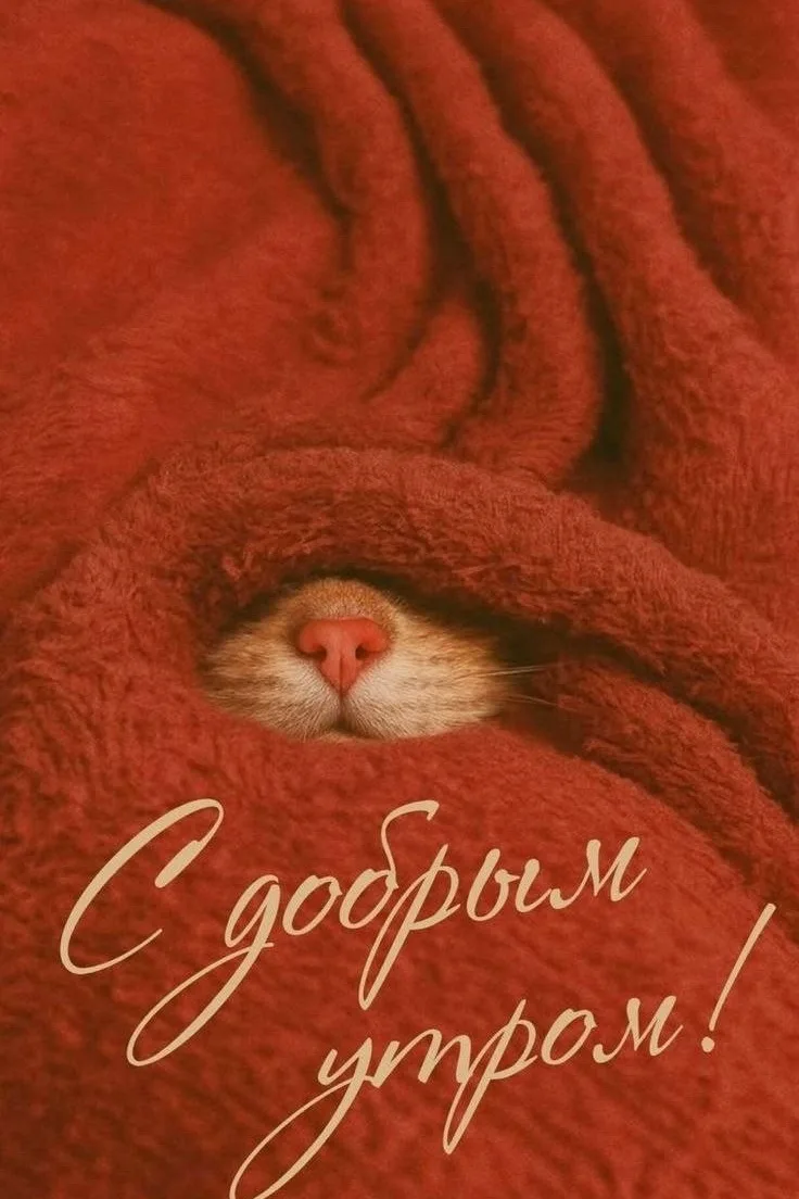 Доброе утро, Саров!
