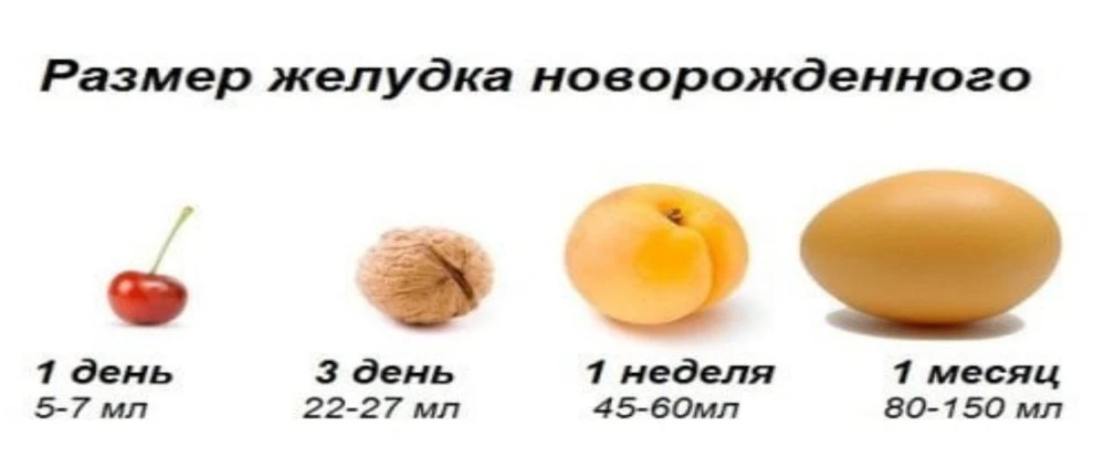 ПИТАНИЕ НОВОРОЖДЕННОГО РЕБЕНКА
Объем желудка у новорожденного ребенка очень невелик. В первые сутки 