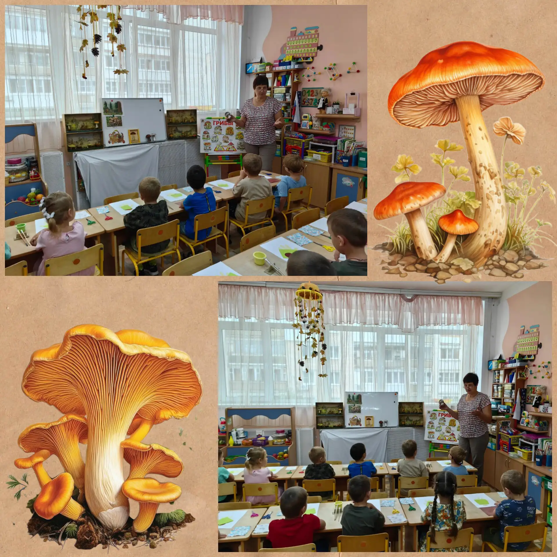 Осенние грибные истории 🍁