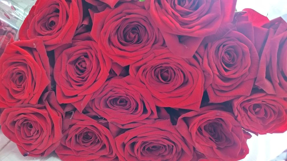 Приехала шикарная ред наоми🌹