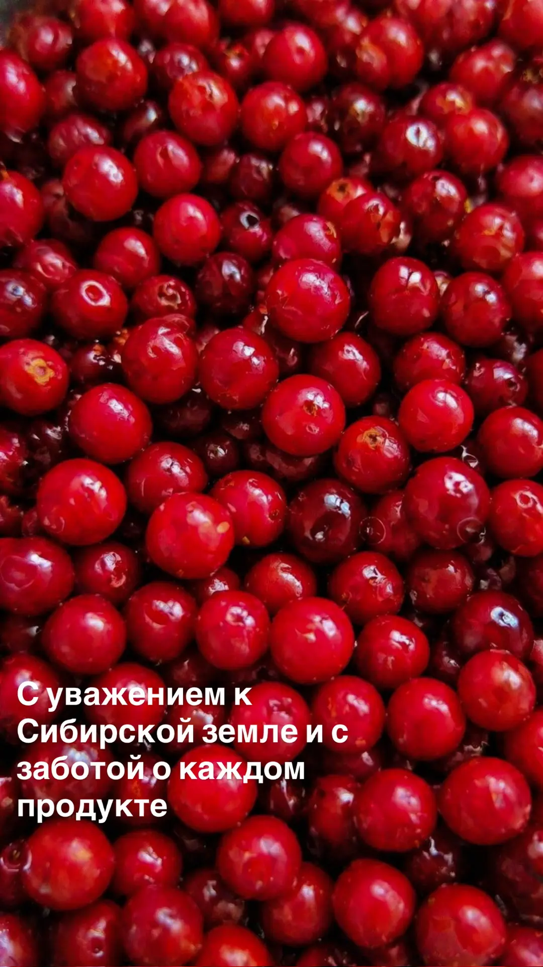 С любовь к Сибири, с уважением к продукту
