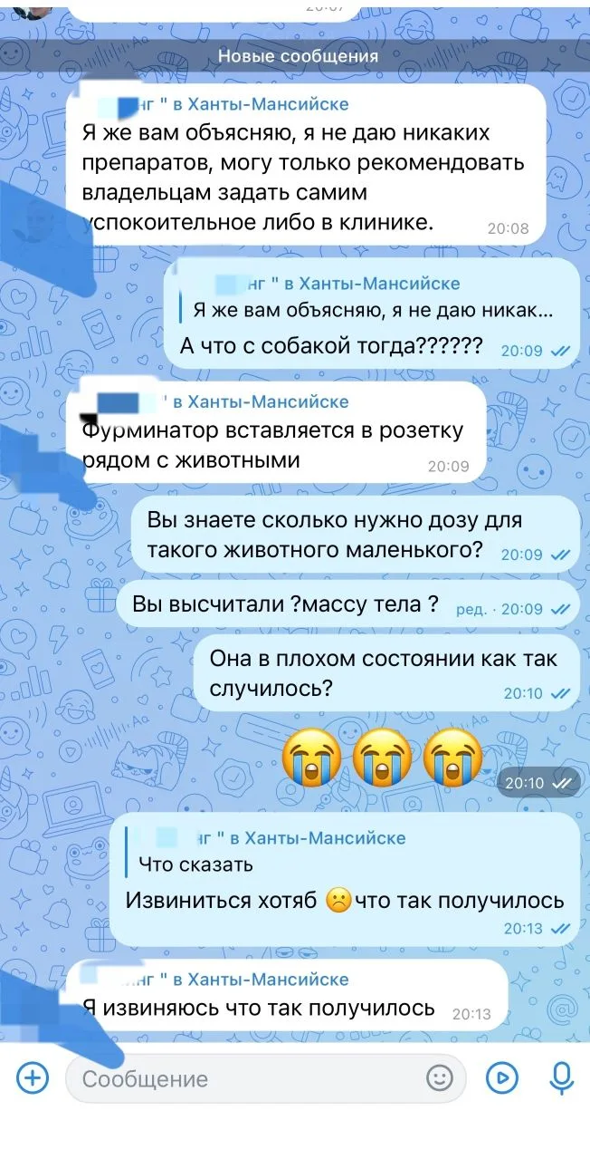 1 апреля 2026 года в 15:00 мы отвезли нашу собаку Лею породы Йоркширский терьер к грумеру Гр***нг в 